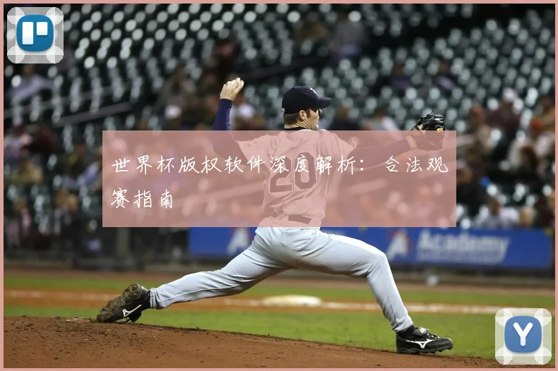世界杯版权软件深度解析：合法观赛指南