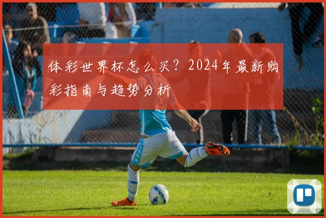 体彩世界杯怎么买？2024年最新购彩指南与趋势分析