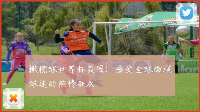 橄榄球世界杯氛围:感受全球橄榄球迷的热情狂欢