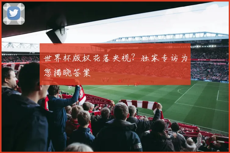 世界杯版权花落央视？独家专访为您揭晓答案