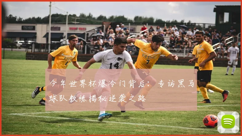 今年世界杯爆冷门背后:专访黑马球队教练揭秘逆袭之路