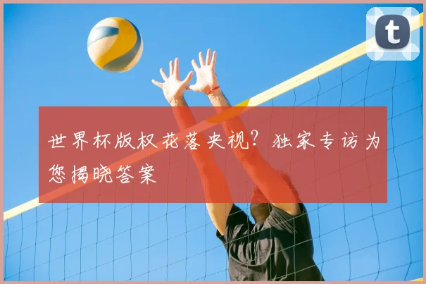 世界杯版权花落央视？独家专访为您揭晓答案