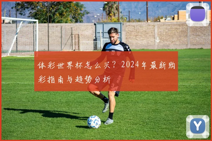 体彩世界杯怎么买？2024年最新购彩指南与趋势分析