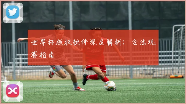 世界杯版权软件深度解析：合法观赛指南