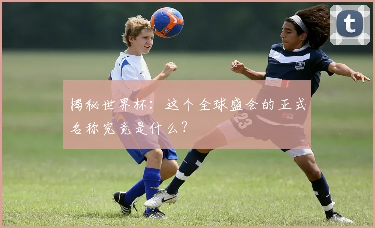 揭秘世界杯：这个全球盛会的正式名称究竟是什么？