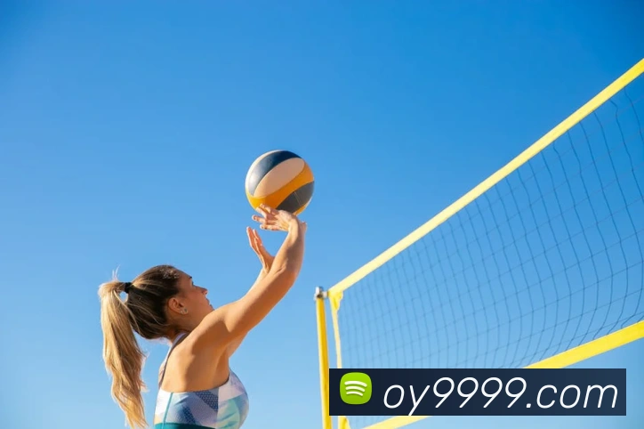 米兰app官方登录入口服务体系