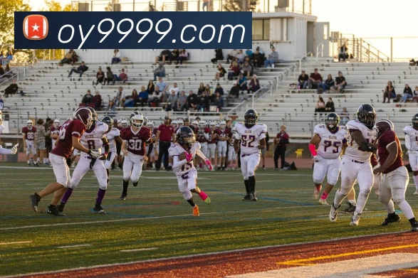 AI Risk Control
